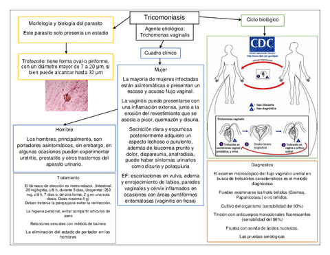2.-Tricomoniasis.pdf