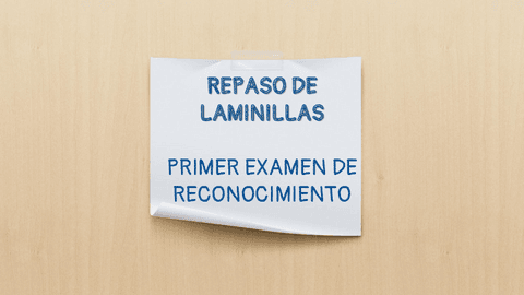 1er-examen-de-laminillas.pdf