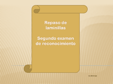 repaso-laminillas-2.pdf