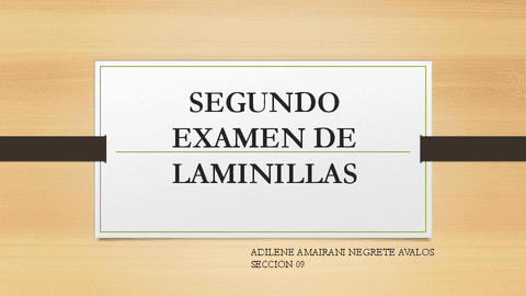 SEGUNDO-EXAMEN-DE-LAMINILLAS.pdf