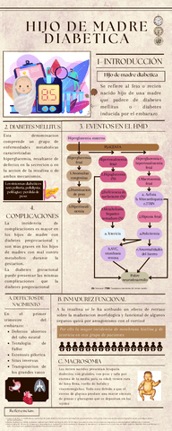 Hijo.De.Madre.DiabeticaInfografia.pdf