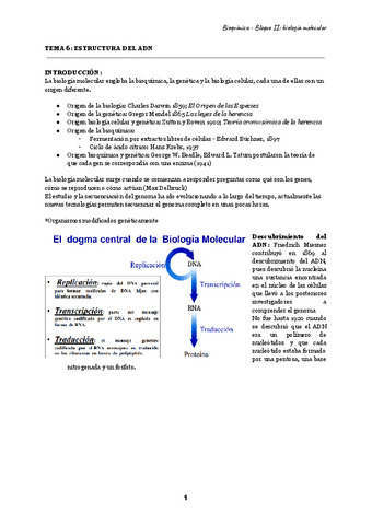 bioq-bloque-II-biologia-molecular.pdf