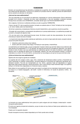 SEDIMENTACION.pdf