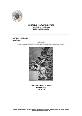 Practica-2-Pilar-Herreros.pdf