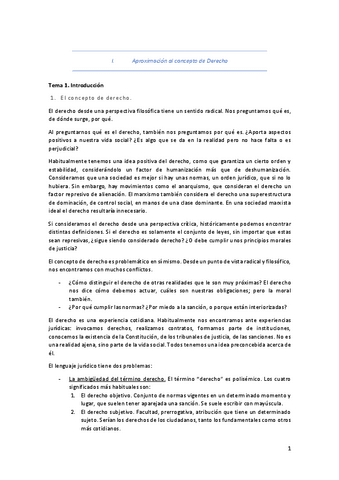 Apuntes-Teoria-del-Derecho-.pdf