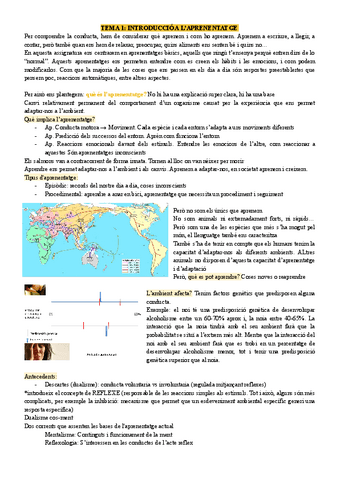 tema1 AiC.pdf