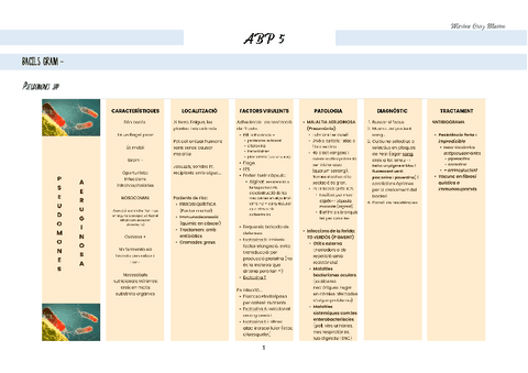 APUNTS-ABP-5.pdf