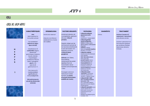 APUNTS-ABP-6.pdf