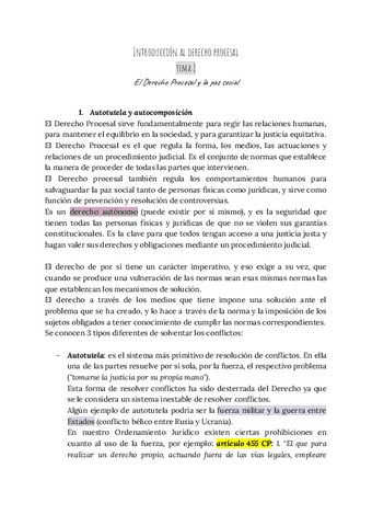 Tema-1-Introduccion-al-Derecho-Procesal.pdf