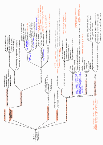 ESQUEMAS-BLOQUE-1-PI.pdf