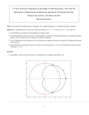 2018-01-18 Primera Convocatoria Resuelto.pdf