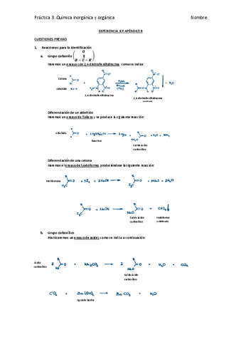 Cuestiones-previas-practica-3-Organica.pdf