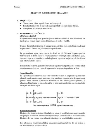 Practica-4a-Organica.pdf