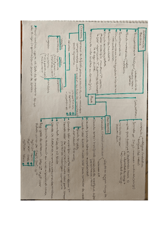 Esquemas-agua-y-sales-y-principios-inmediatos.pdf