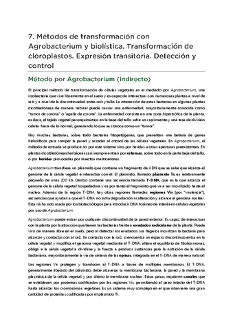 T07-Transformacion.pdf