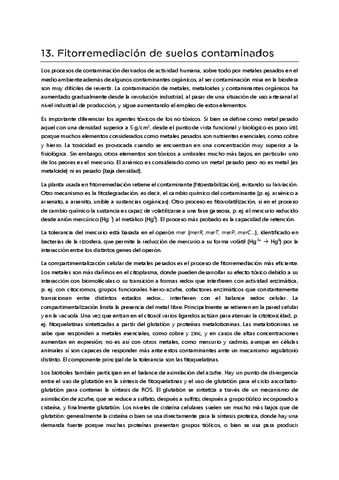 T13-Fitorremediacion.pdf