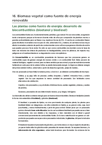 T16-Combustible-vegetal.pdf