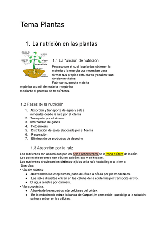 Biologia-Tema-12.pdf