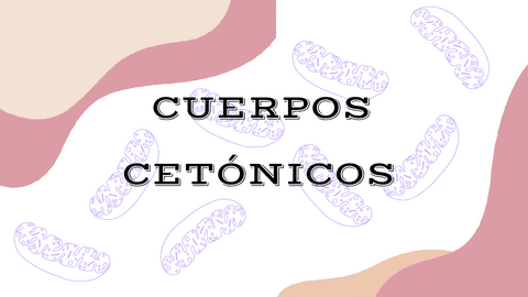 CUERPOS.pdf