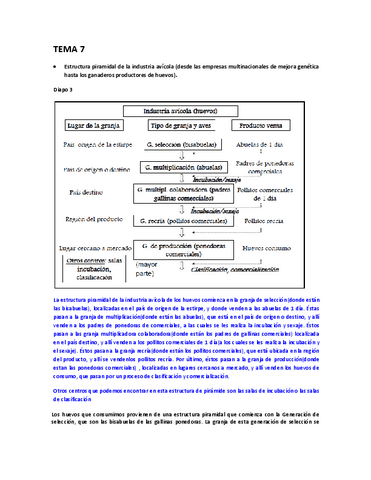 Preg-temas-2-parcial.pdf