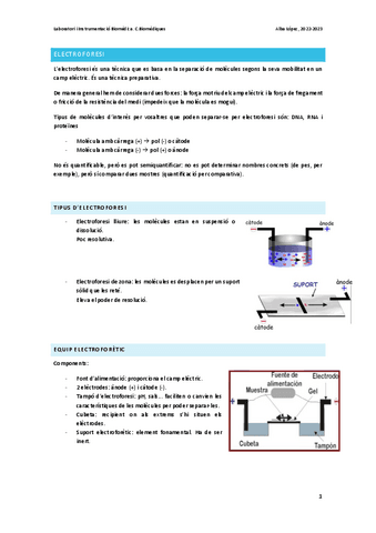 Apunts-electroforesi.pdf