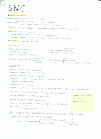 Sistema-nervioso-central.pdf