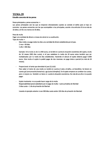 Tema-29.pdf