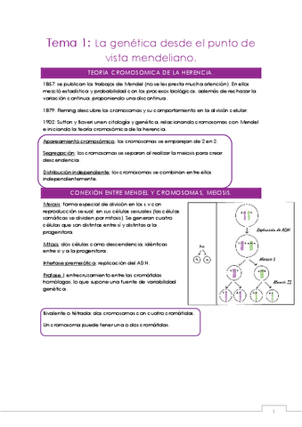 Genetica-entera-curso20-21.pdf
