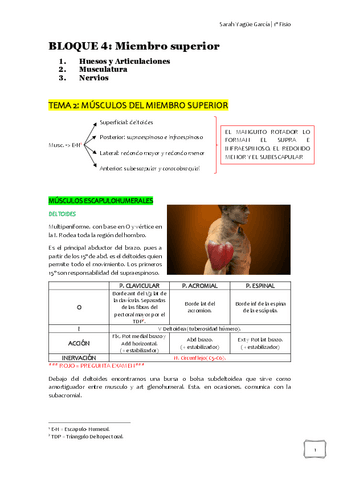 BLOQUE-4-musculos-MMSS.pdf