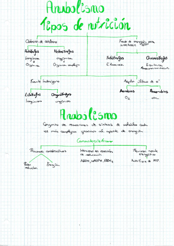ANABOLISMO20230219.pdf