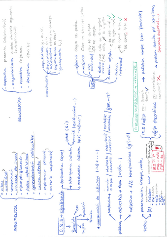 Esquema-Repaso-Completo.pdf