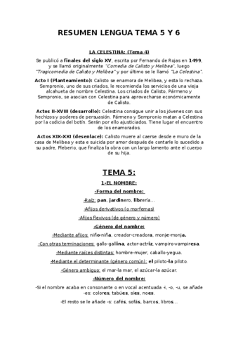 Resumen-Lengua-Tema-5-y-6.pdf