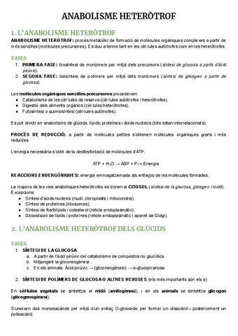 Anabolisme-Heterotrof.pdf