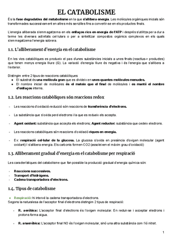 Catabolisme.pdf