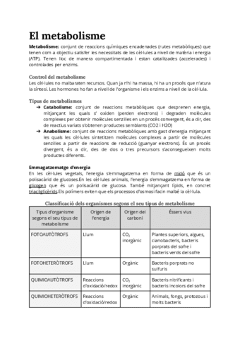 Metabolisme.pdf