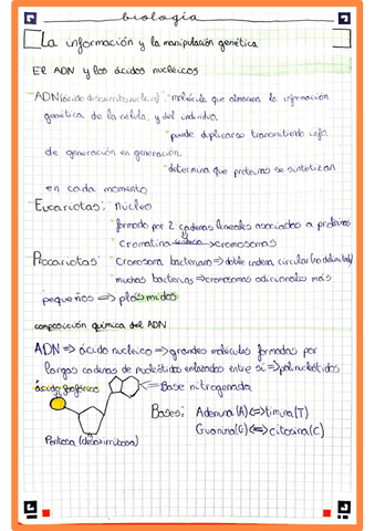informacion-y-manipulacion-genetica.pdf