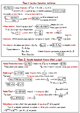 Apuntes-Econometrics-III.pdf