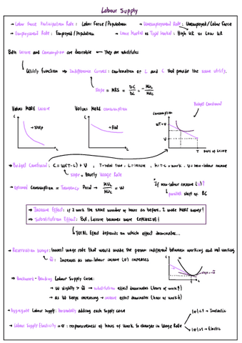 Apuntes-Labour-Economics.pdf