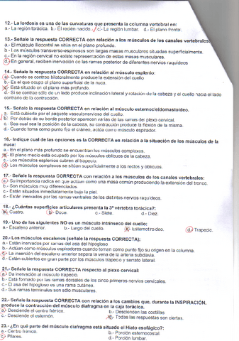examen-anatomia-basica-y-del-tronco-2.PDF.pdf