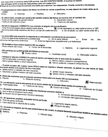 2019-05-15-11.06.10.pdf