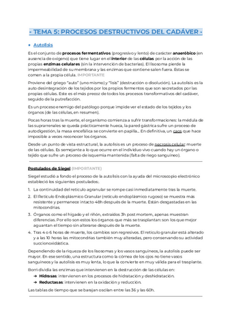 Tema-5.pdf