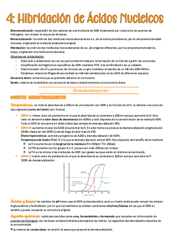 tema-4-BCM.pdf