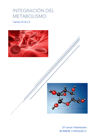 INFORME-INTEGRACION.pdf