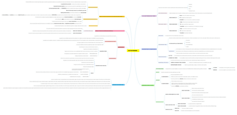 Apuntes-de-un-tema-entero-del-Sector-Primario.pdf