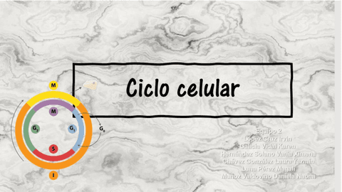 ciclo-celular-2.pdf