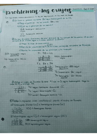 Problemas-de-genetica.-Porras-Vazquez-Samantha-Andrea.-Grupo2251.pdf