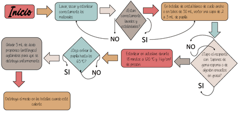 Protocolo-extraccion-de-DNA.pdf