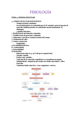 FISIO-T4.pdf