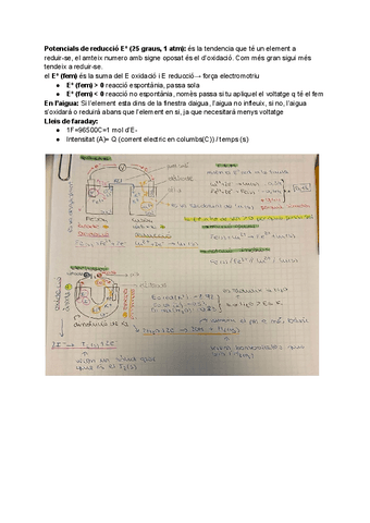 redox.pdf