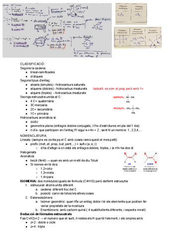 Hidrocarburs.pdf